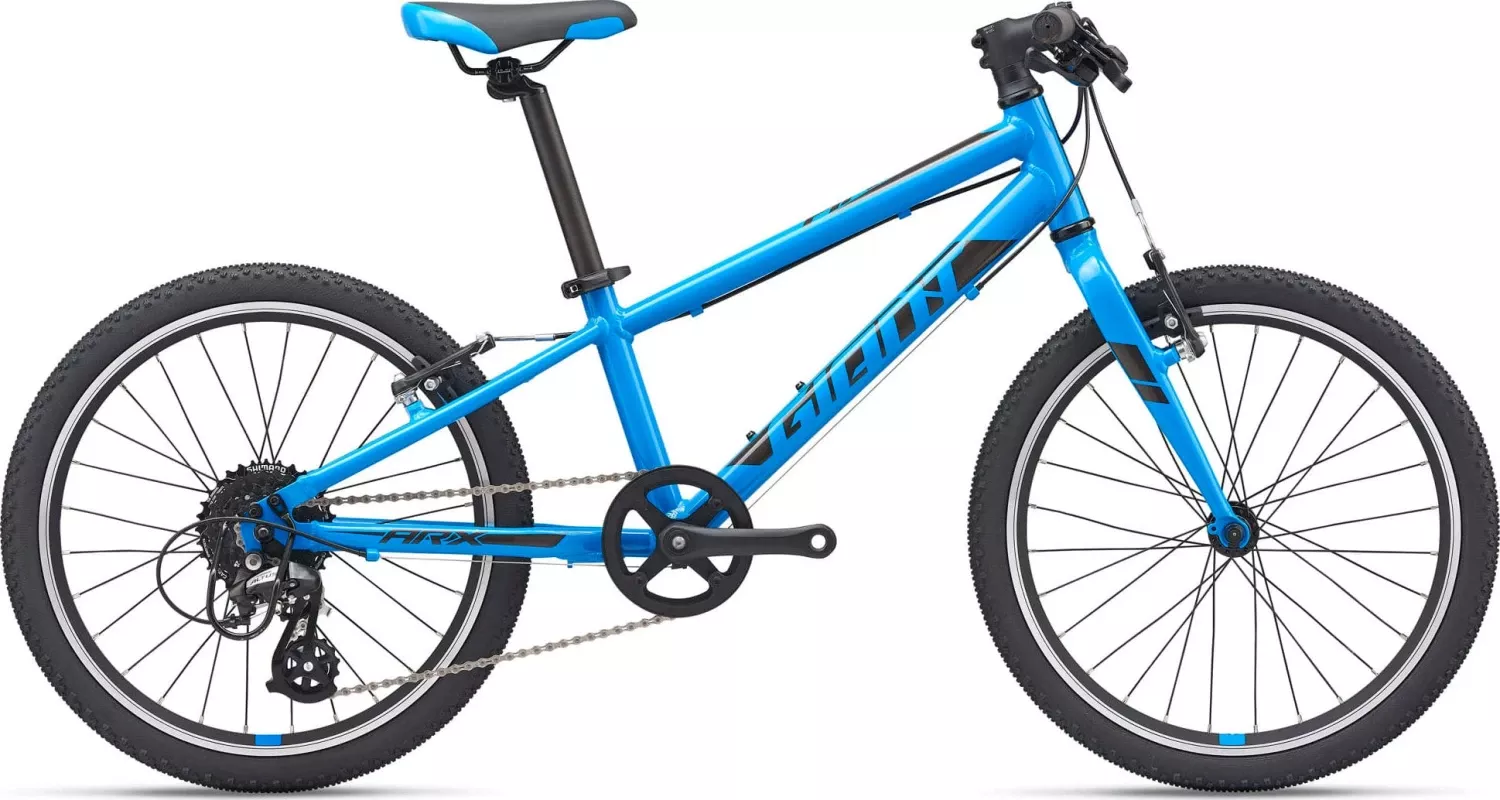 2021 Giant ARX 20″